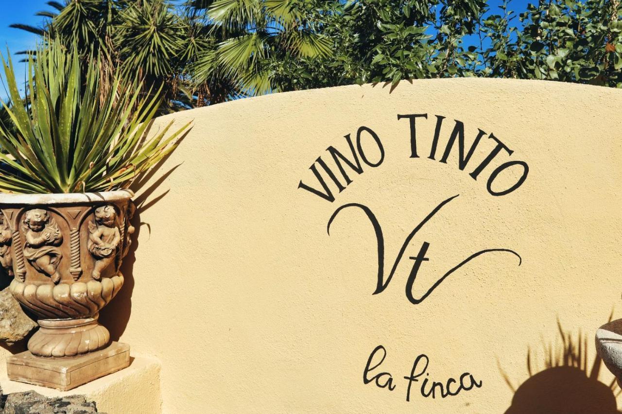 Finca Vino Tinto 4 Икод де лос Винос Екстериор снимка
